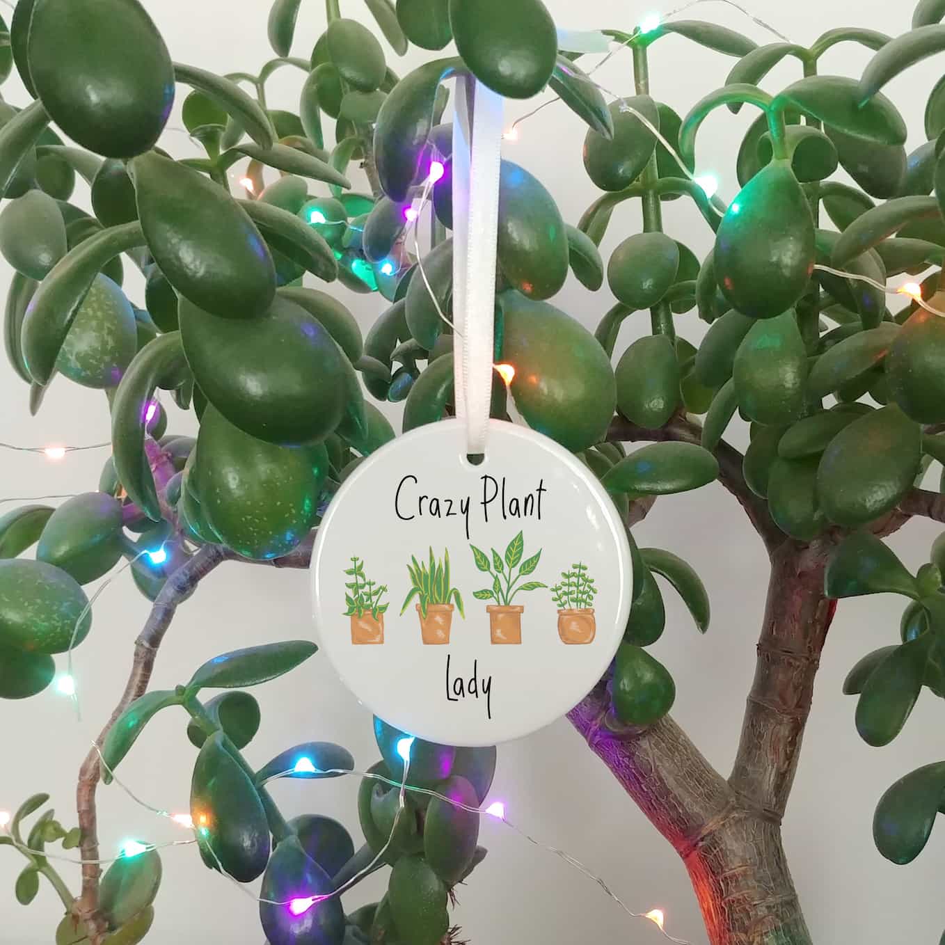Crazy Plant Lady Ceramic Hanging Ornament | Potted Plants Keepsake