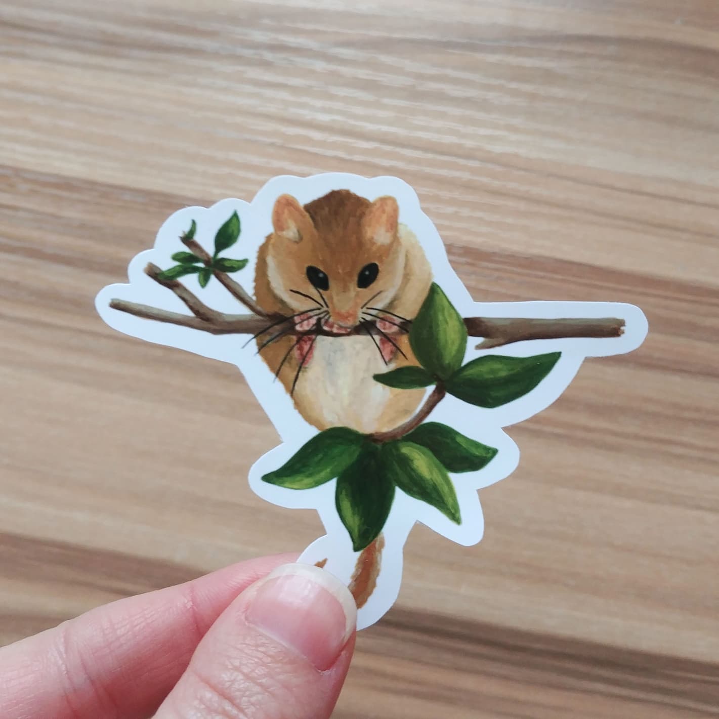 Hazel Dormouse Vinyl Sticker