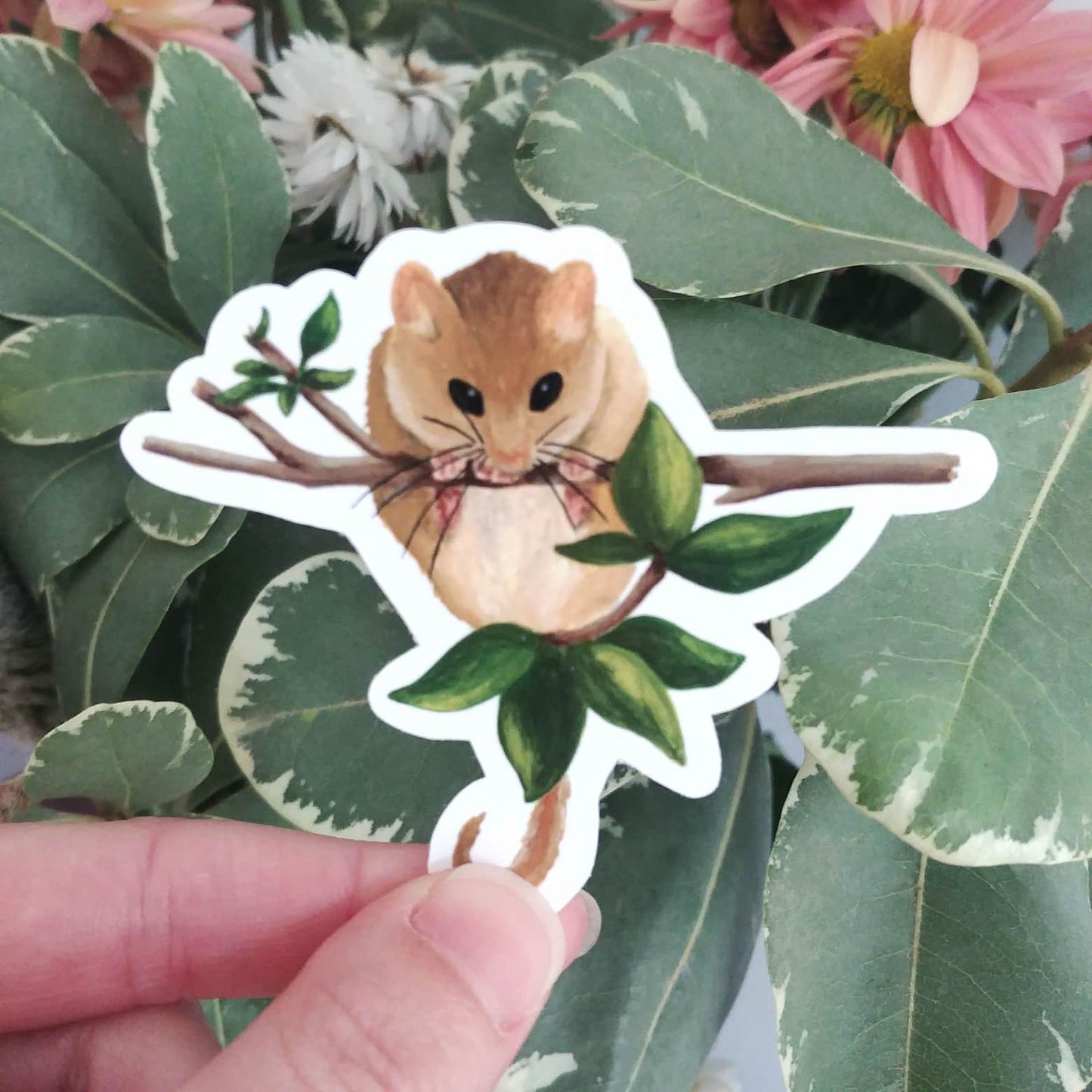Hazel Dormouse Vinyl Sticker