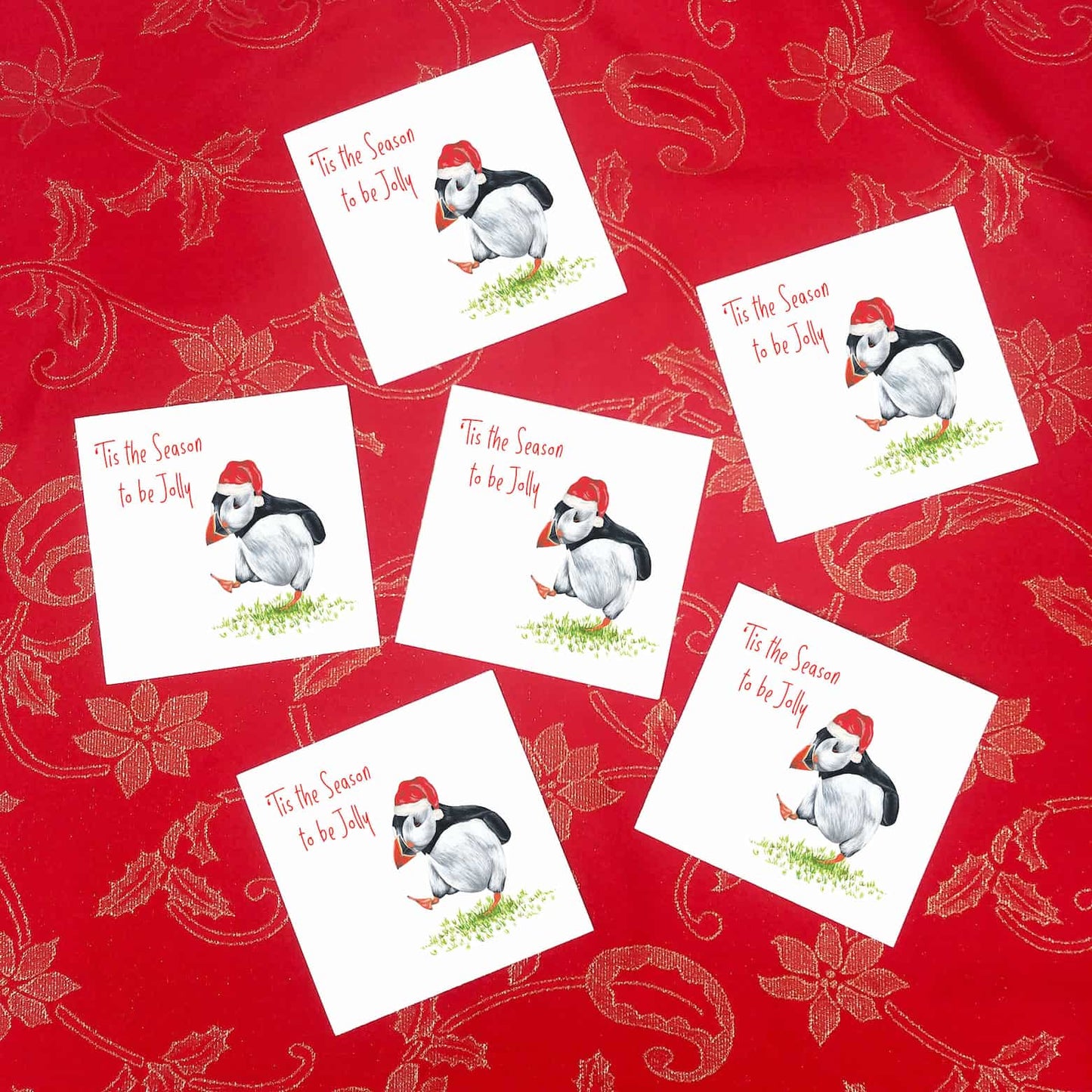Pack of 6 jolly puffin Christmas Cards