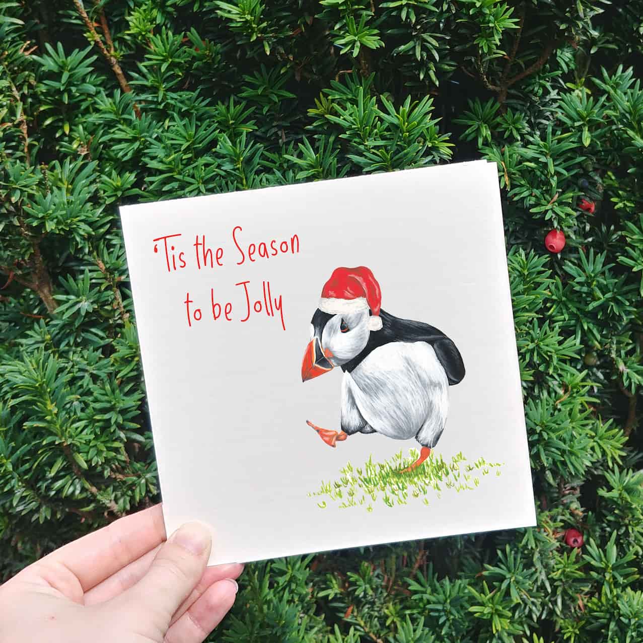Jolly Puffin Christmas Card | Tis the Season to be Jolly