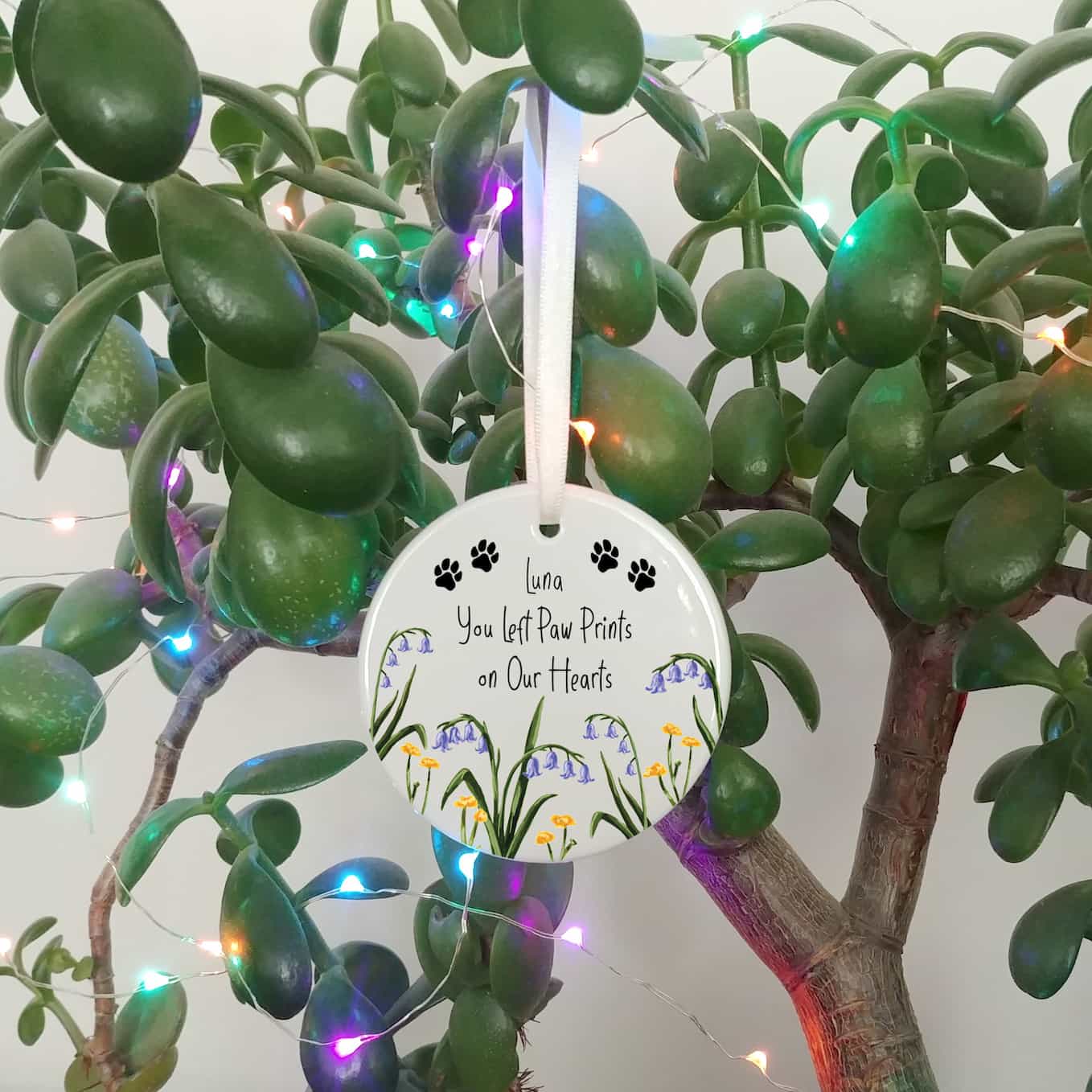 Personalised Pet Memorial Decoration | You Left Paw Prints on Our Hearts