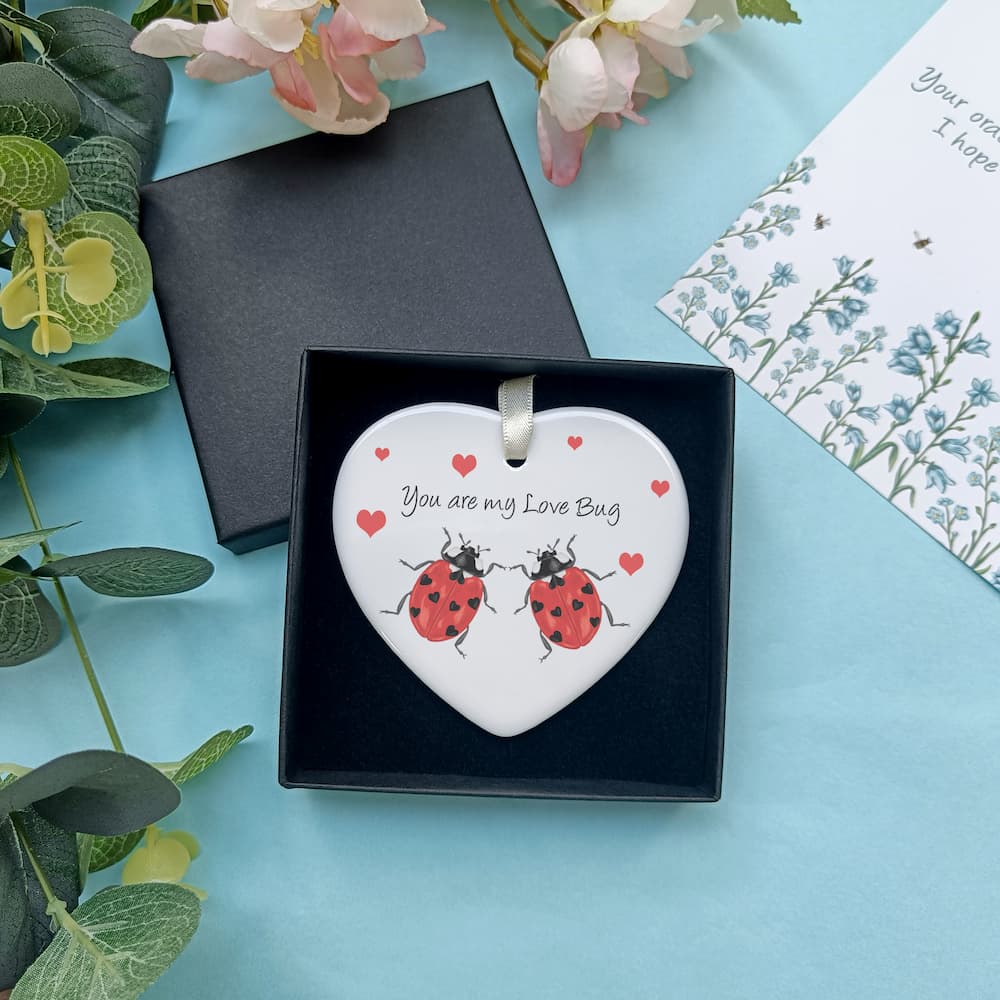 You are my love bug hanging ceramic decoration with ladybirds