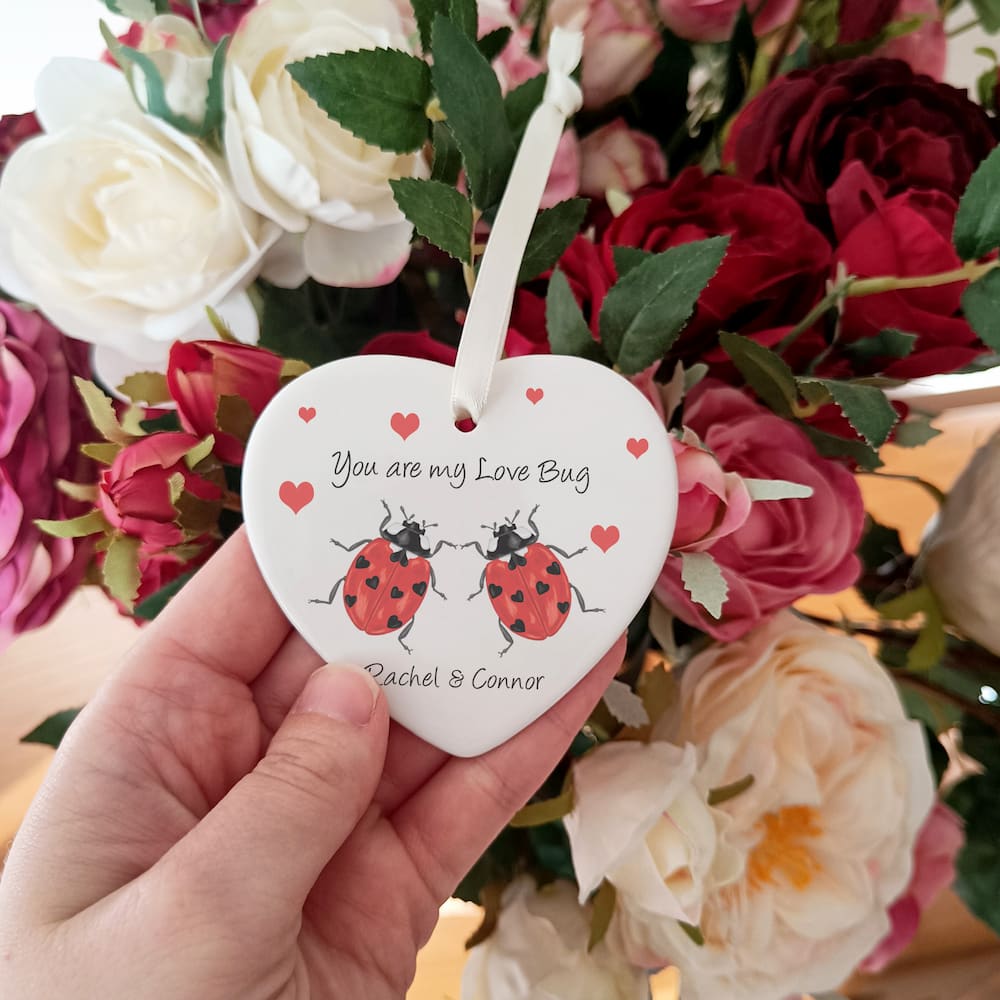 Personalised Valentine's Day Ladybird Gift