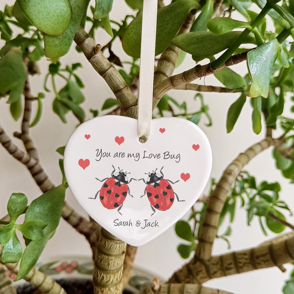Valentine's Day Love Bug Ceramic Hanging Gift