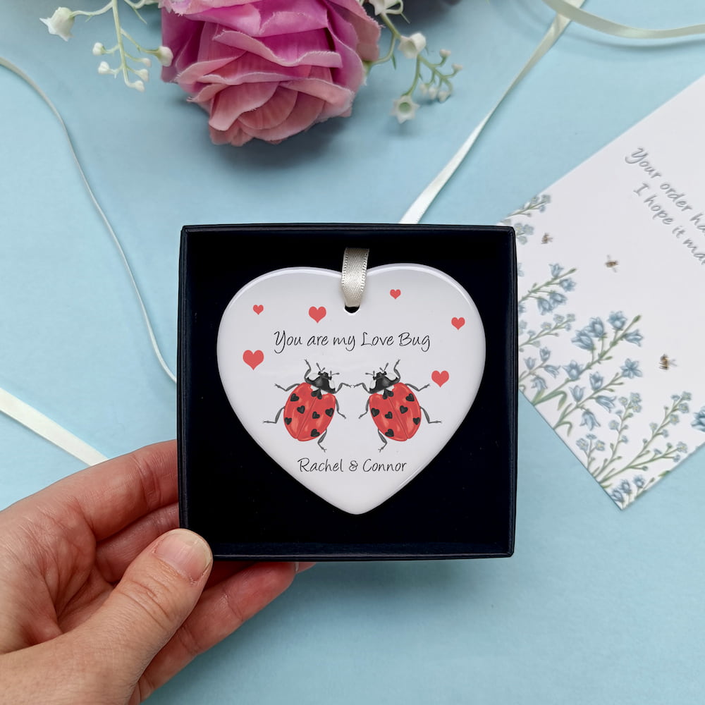 Cute ladybird Valentines day ceramic gift