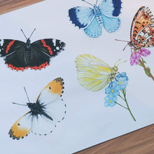 Load image into Gallery viewer, A4 Butterfly Species Art Print
