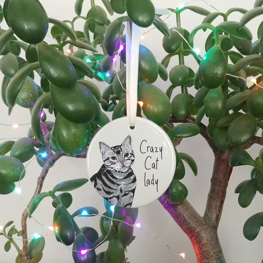 Crazy Cat Lady Ceramic Hanging Ornament | Cat Keepsake | Cat Lover Gift