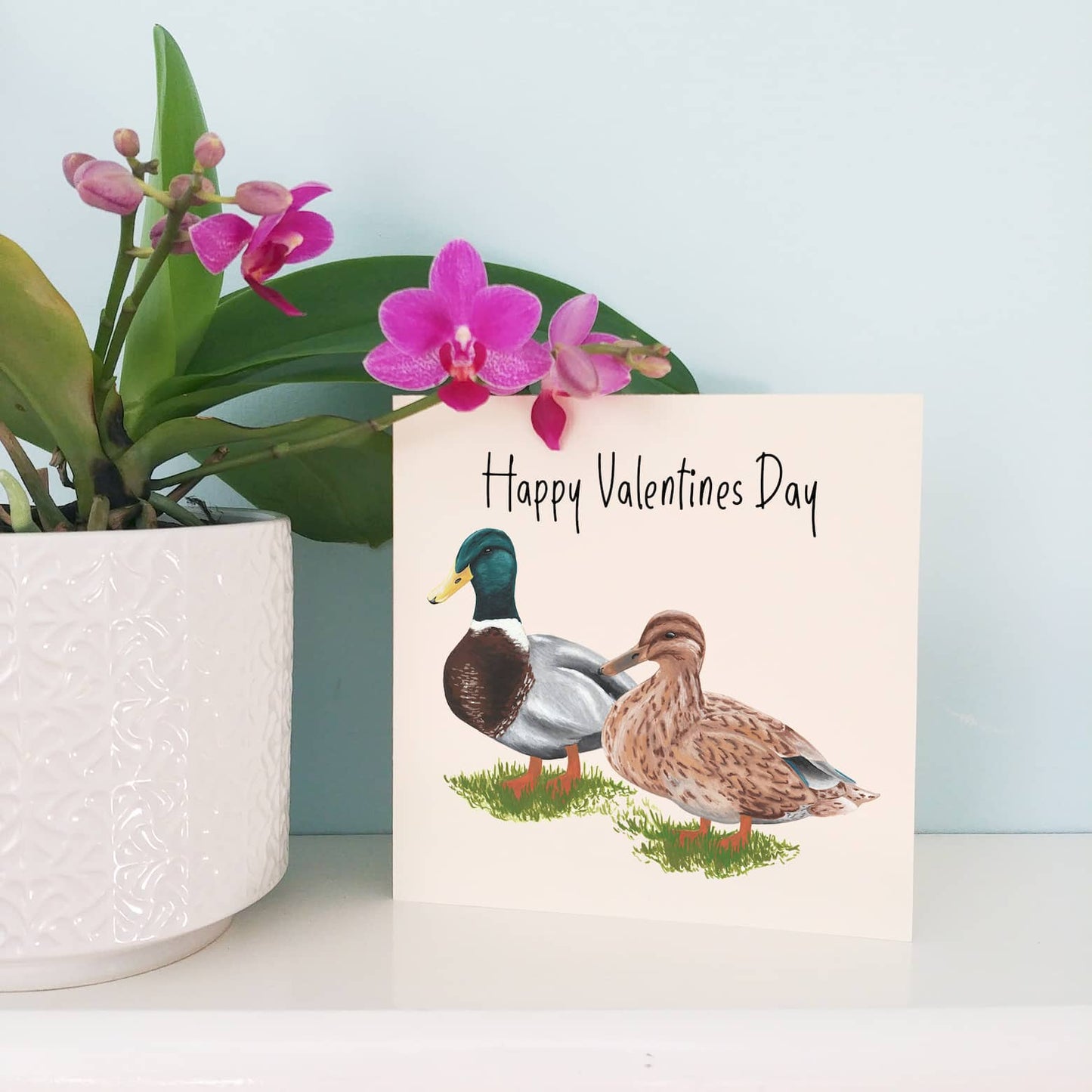 Mr and Mrs Duck Valentine's Day Card