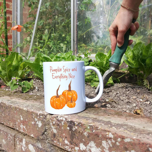 Pumpkin Spice and Everything Nice Mug